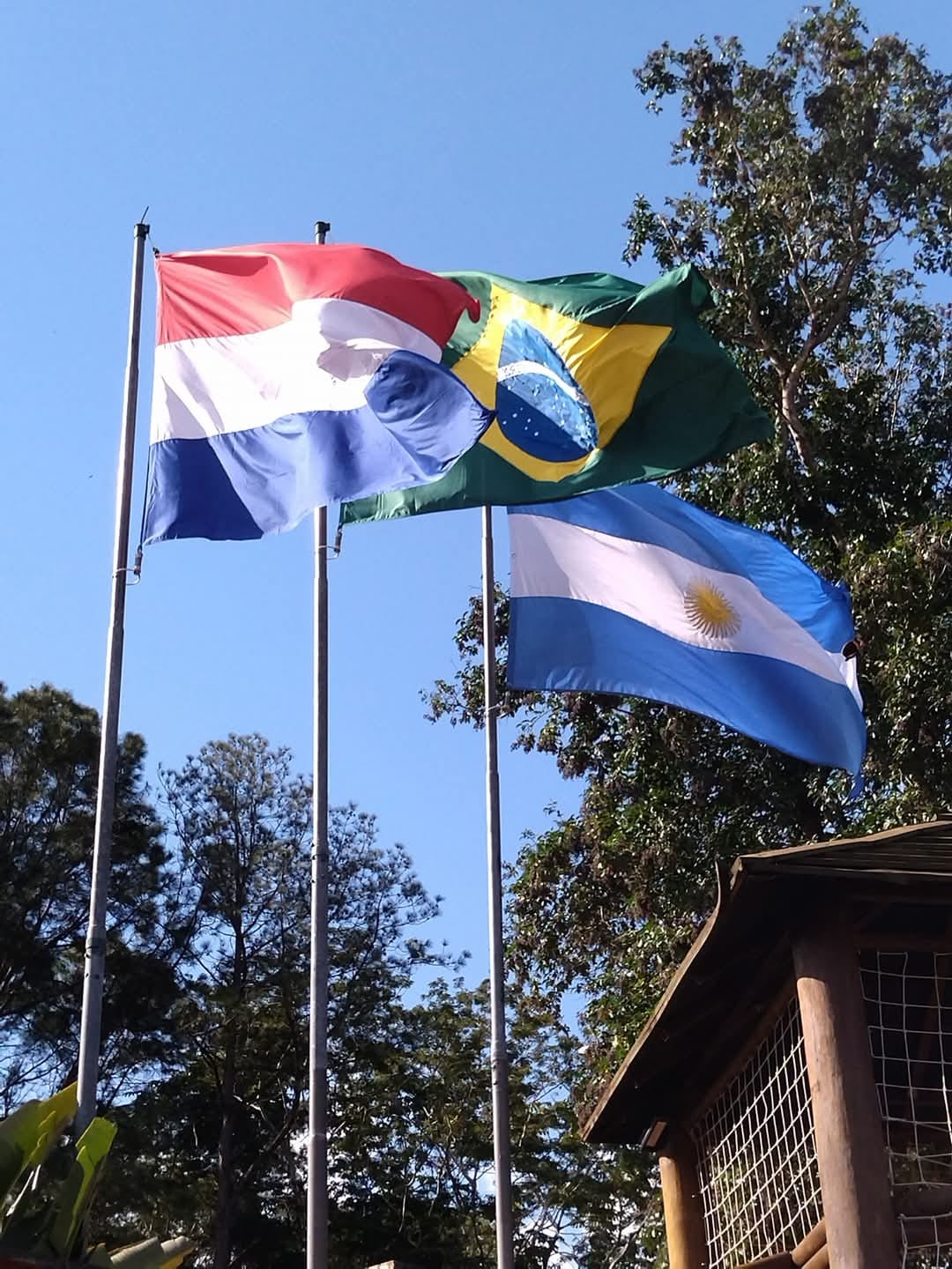 Bandeira Diversa